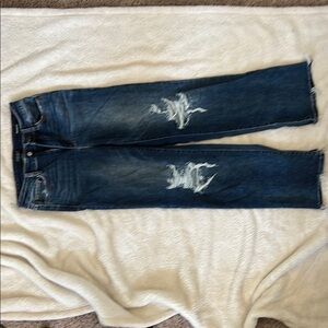 Judy Blue Straight Blue Jeans with Embroidery